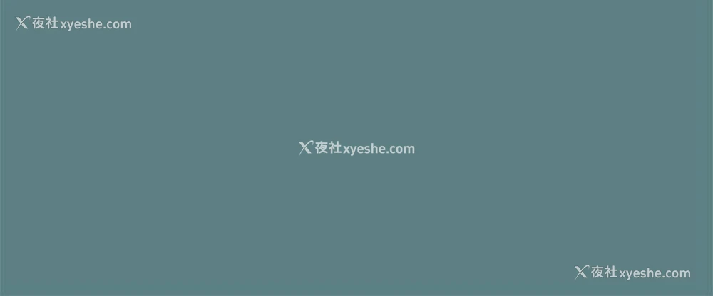 14P - 帮派女婿