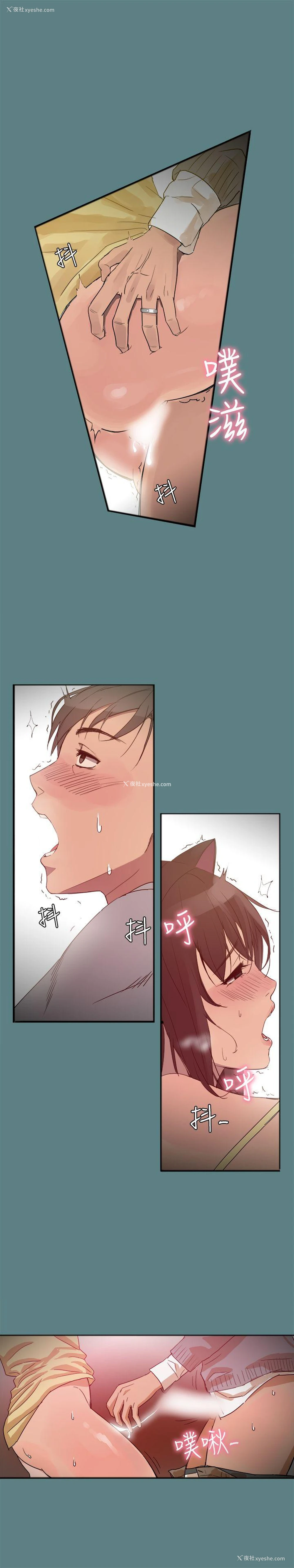 6P - 帮派女婿
