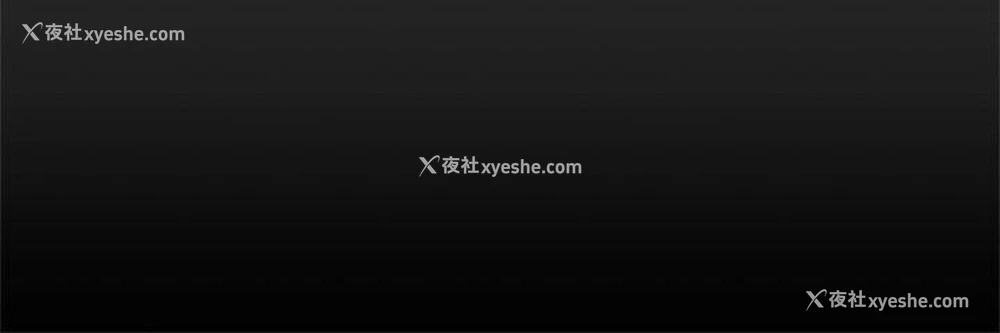 33P - 帮派女婿