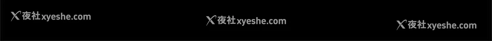 13P - 帮派女婿