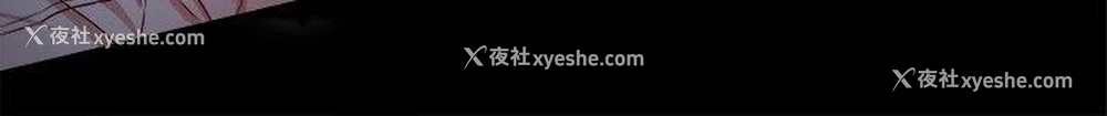 12P - 帮派女婿