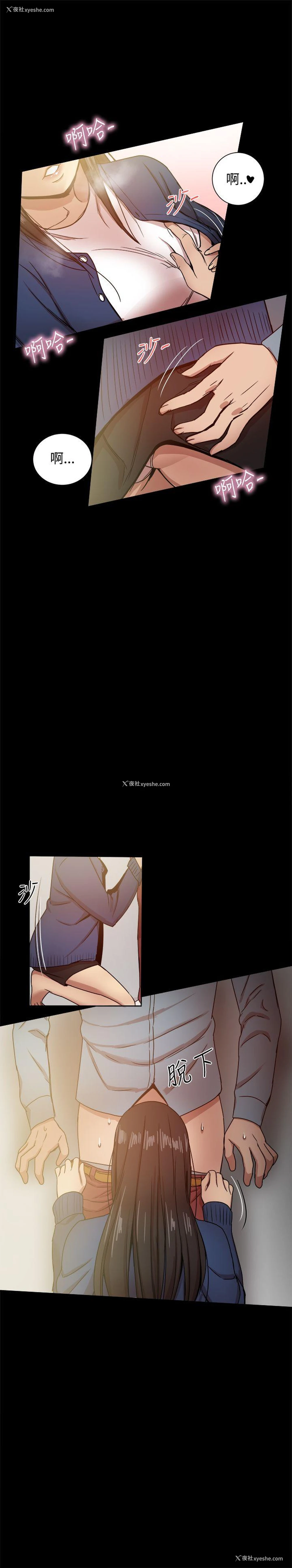 5P - 帮派女婿
