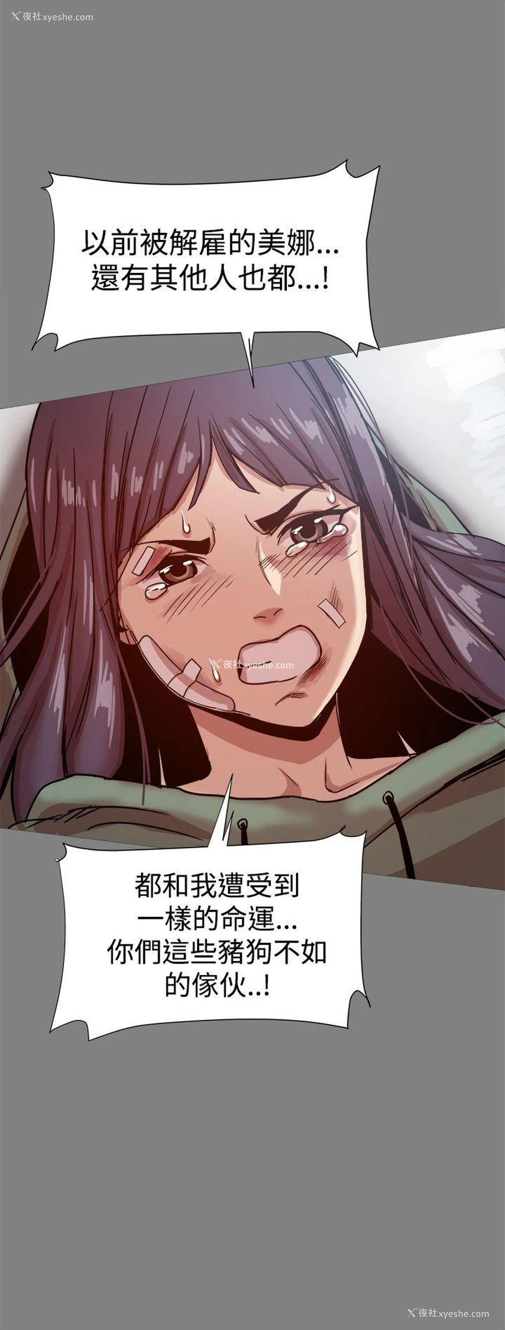 10P - 帮派女婿
