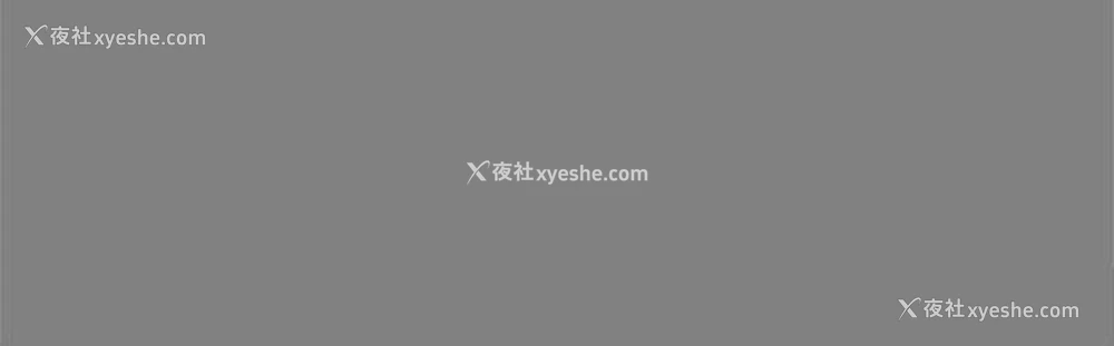 13P - 帮派女婿
