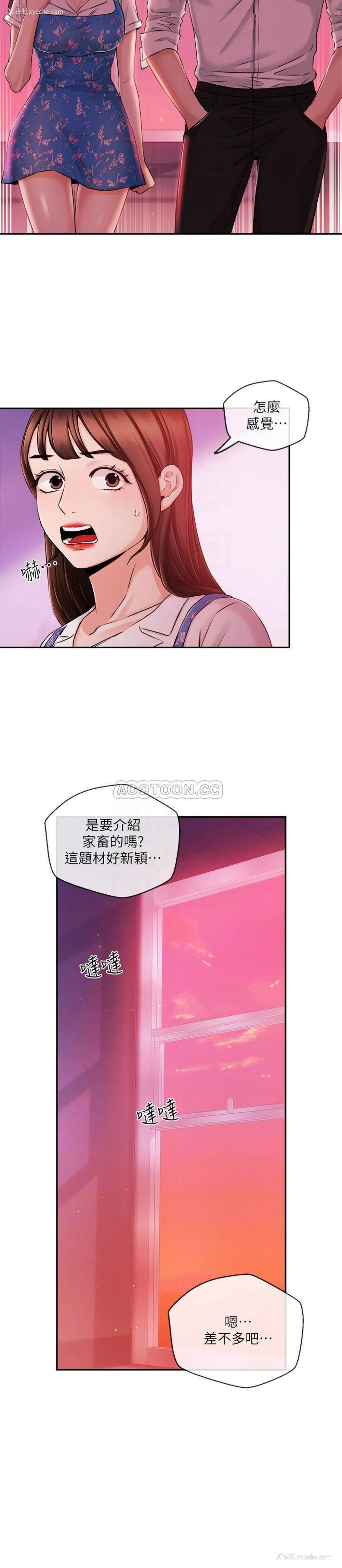14P - 新闻主播