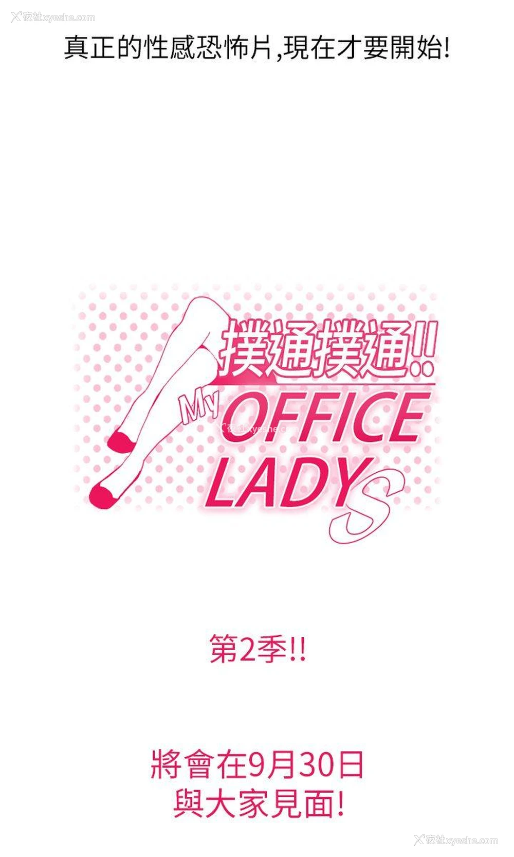 6P - MY OFFICE LADYS