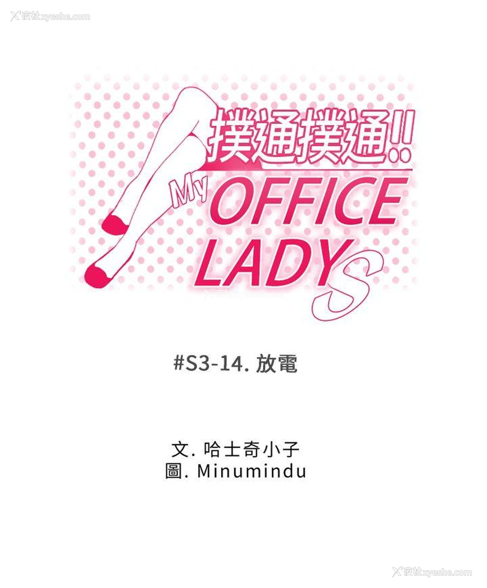 1P - MY OFFICE LADYS