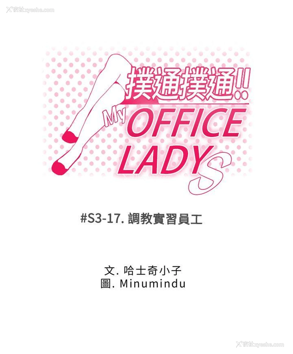 1P - MY OFFICE LADYS