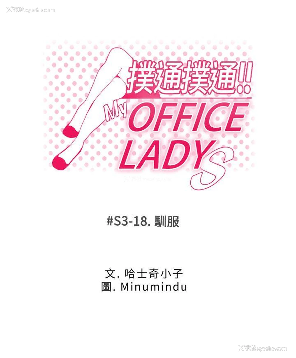 1P - MY OFFICE LADYS