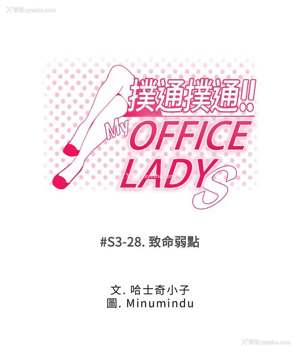 1P - MY OFFICE LADYS