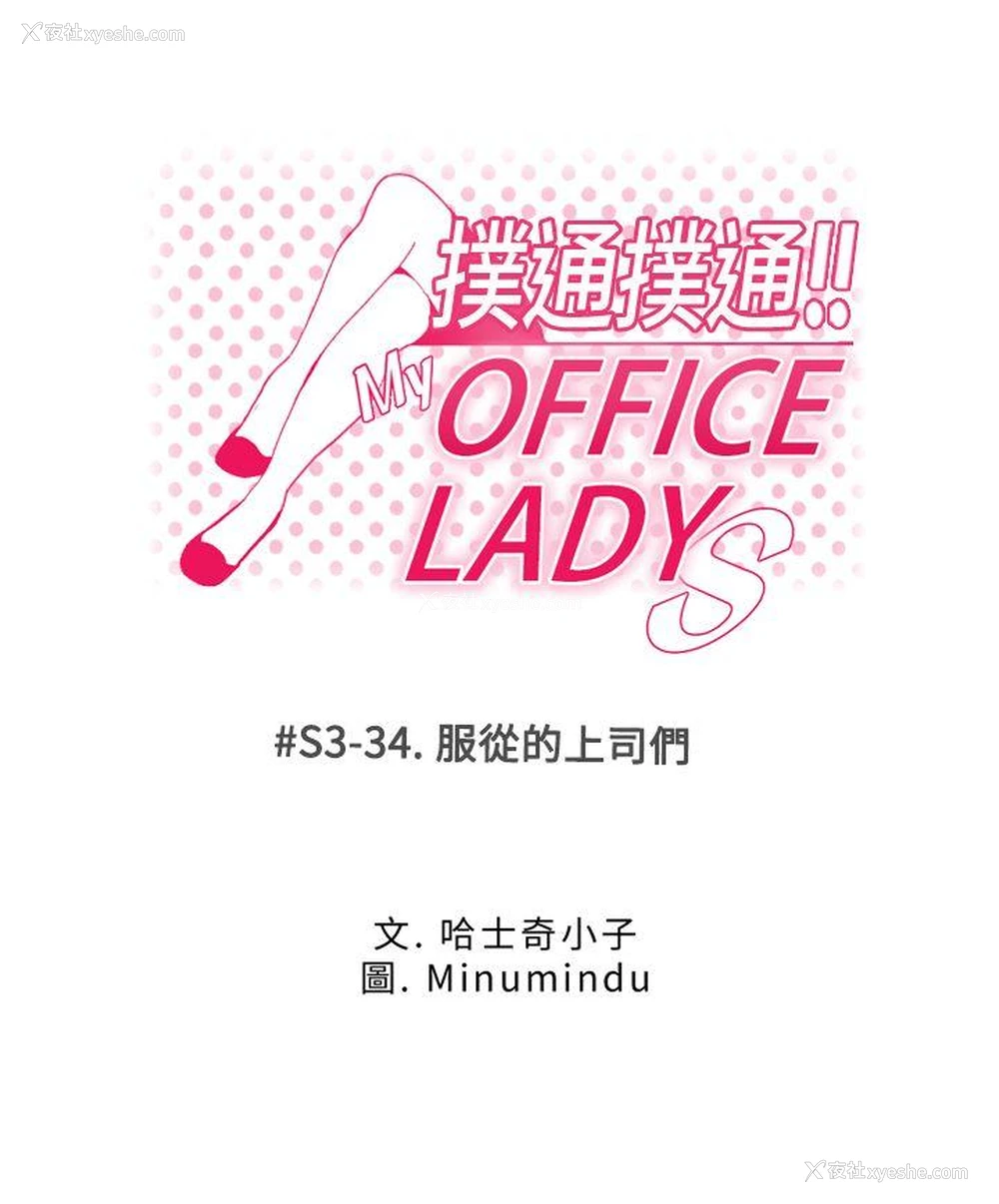 1P - MY OFFICE LADYS