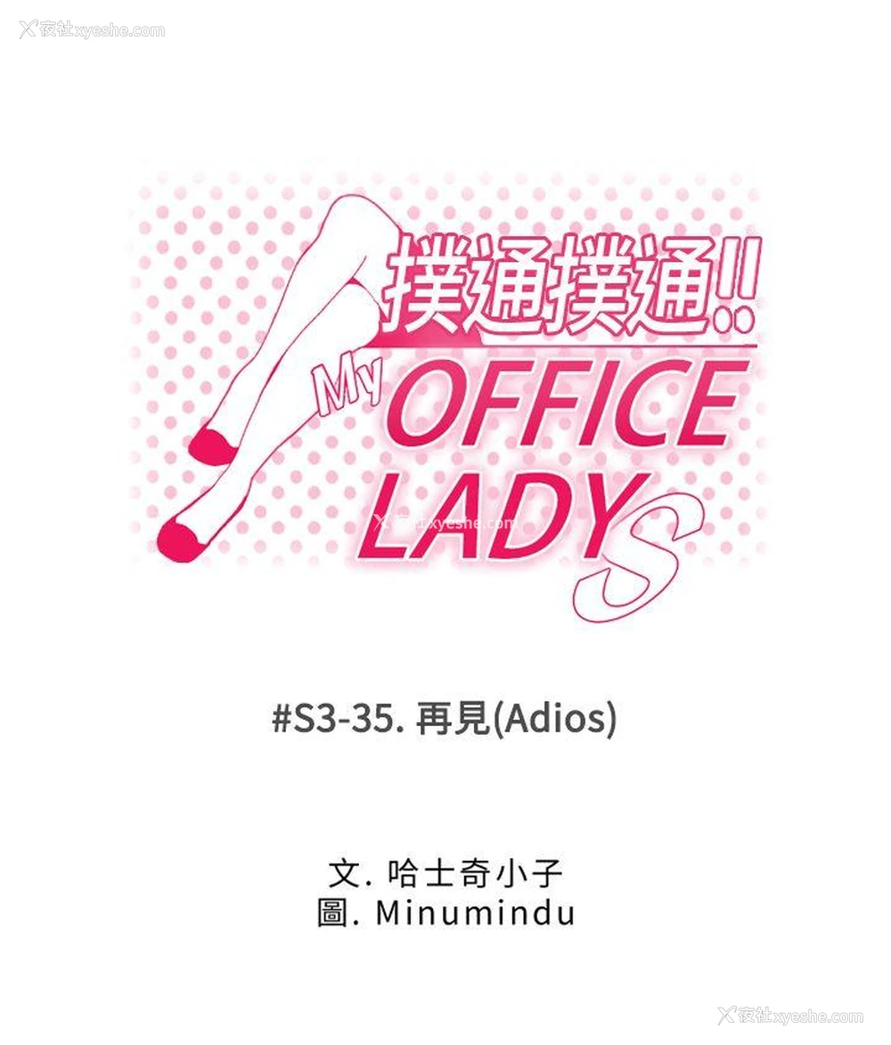 1P - MY OFFICE LADYS