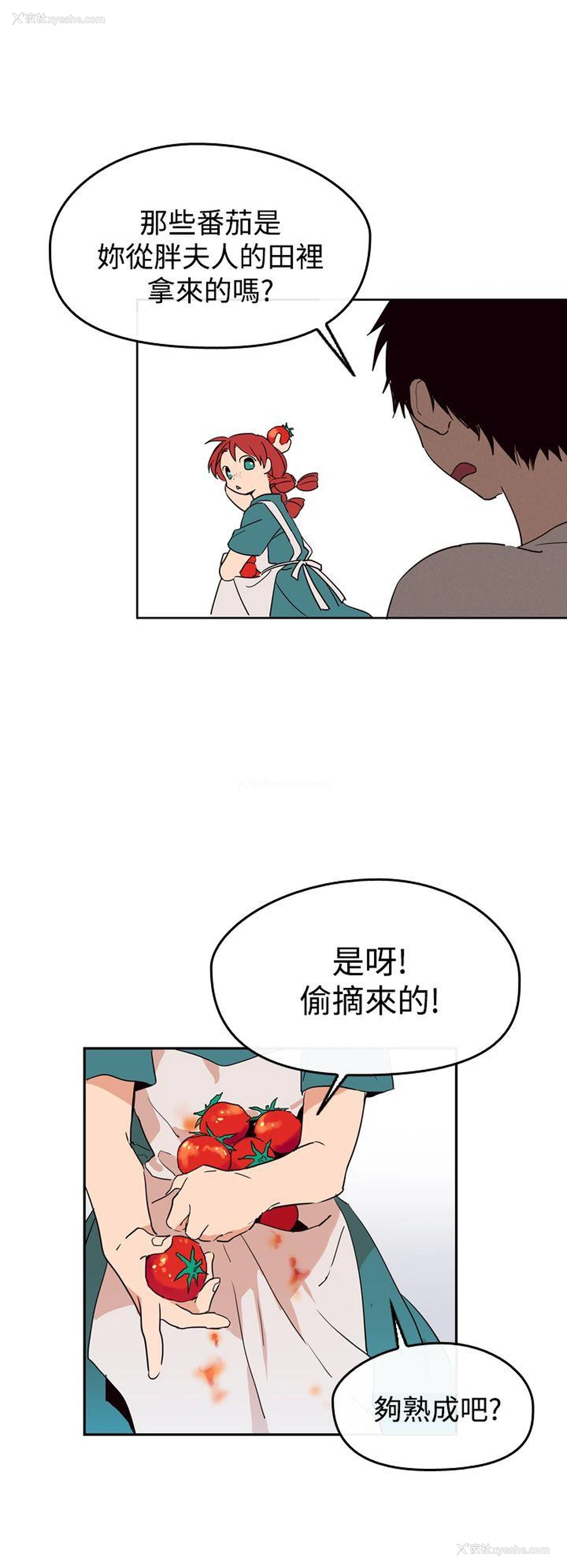 14P - 魔女