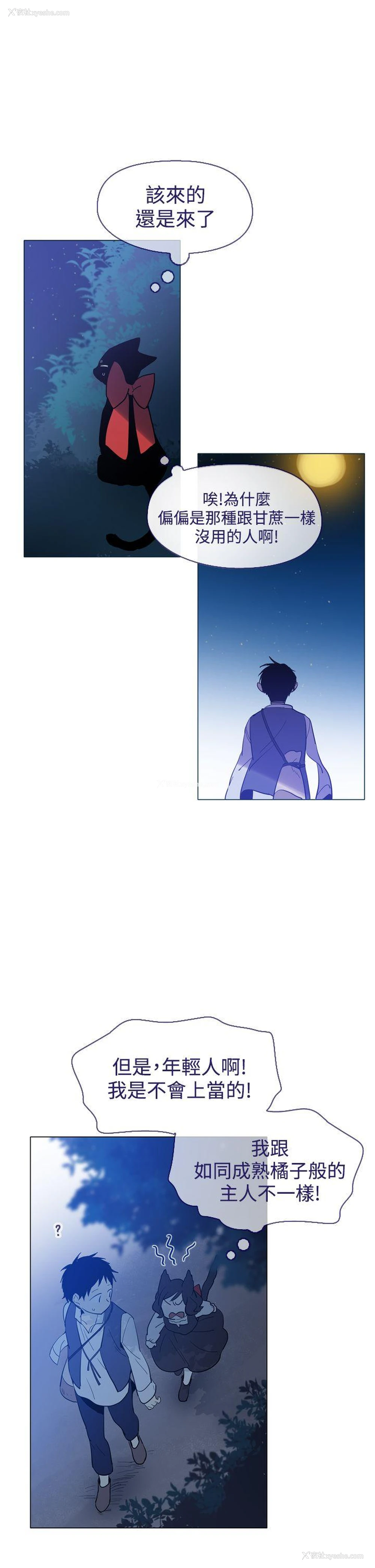 16P - 魔女
