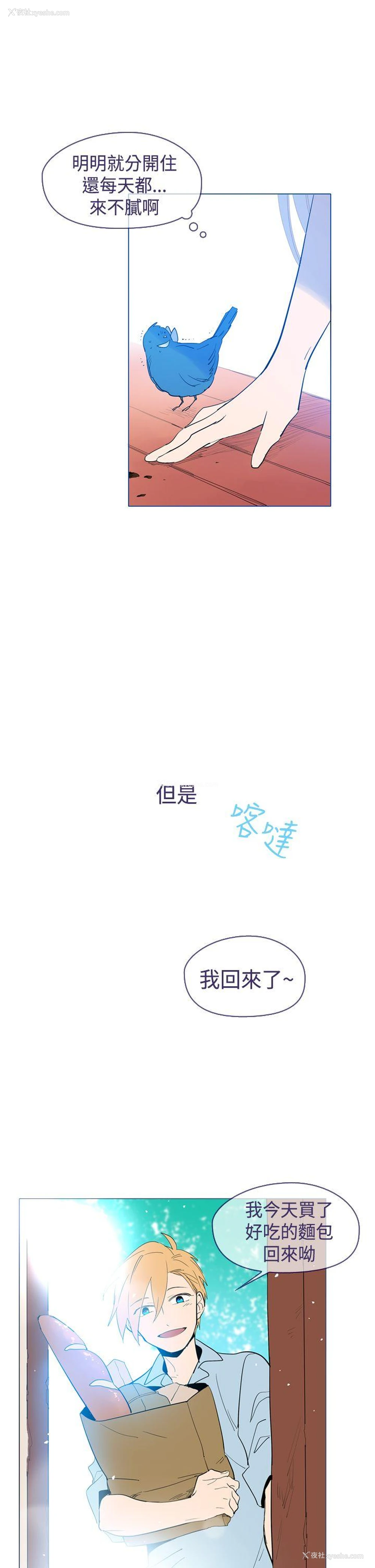 19P - 魔女