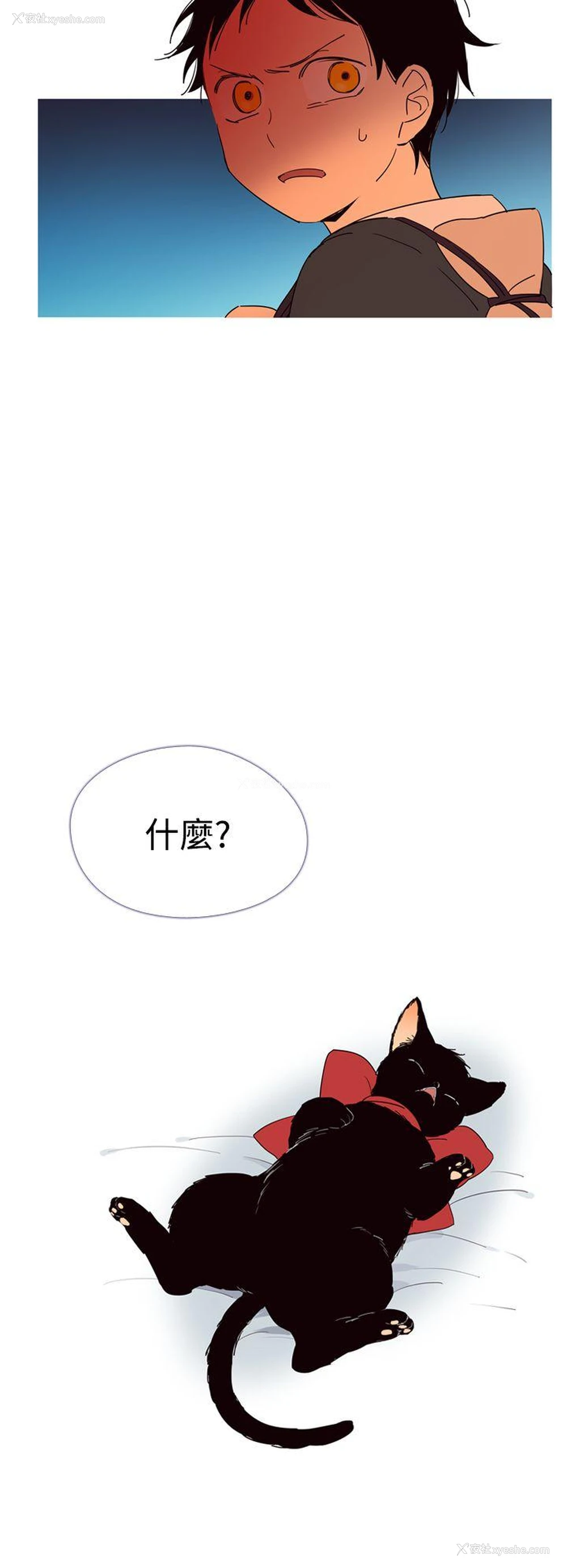 24P - 魔女