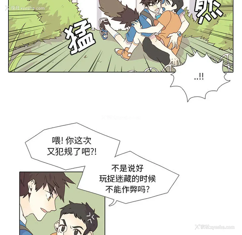 10P - 野性之城
