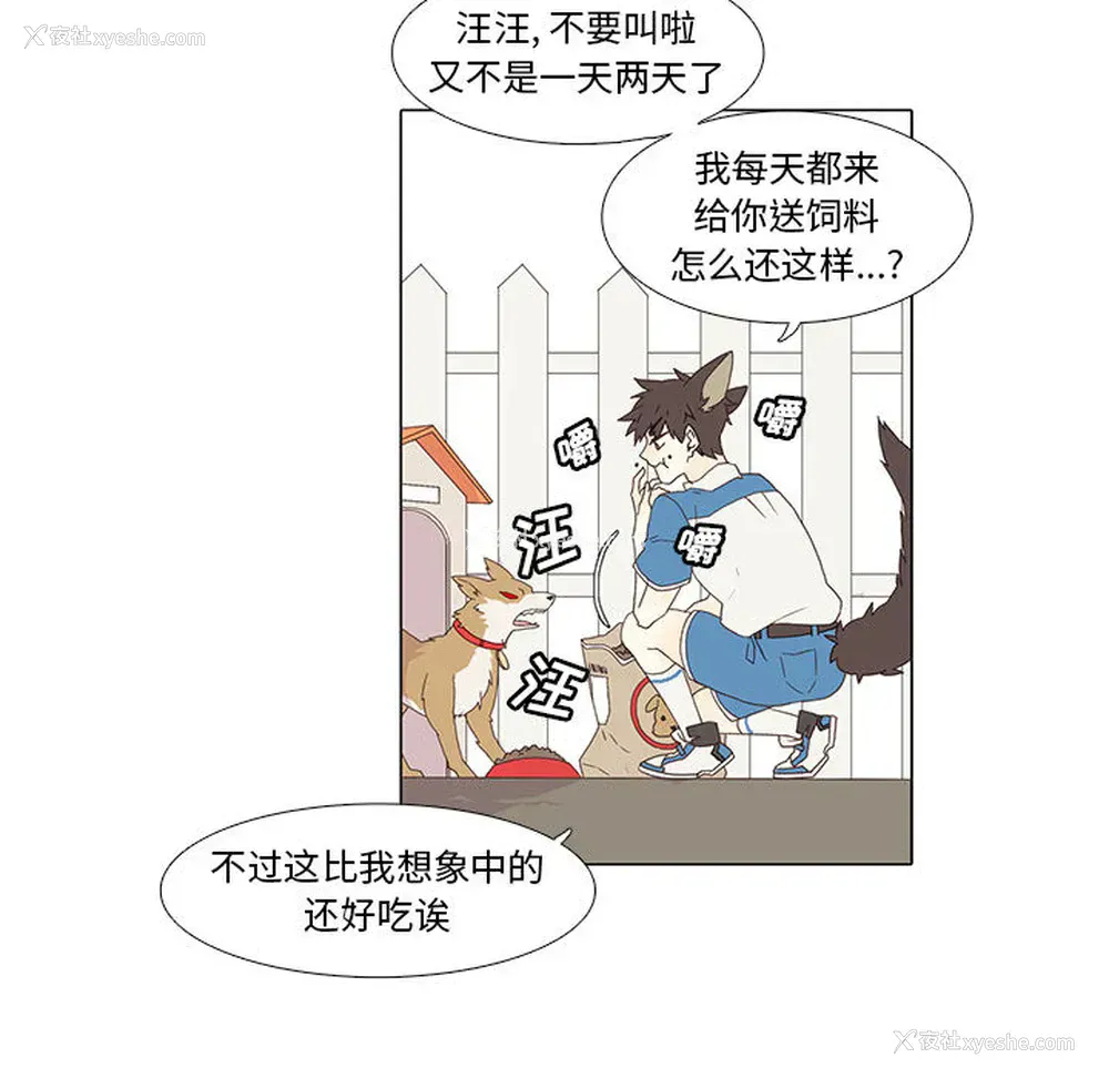 25P - 野性之城