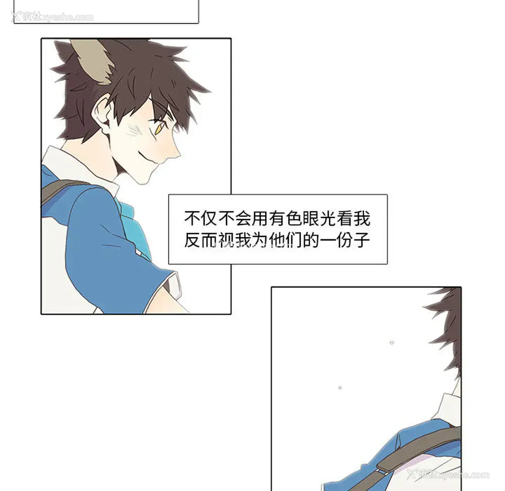 28P - 野性之城