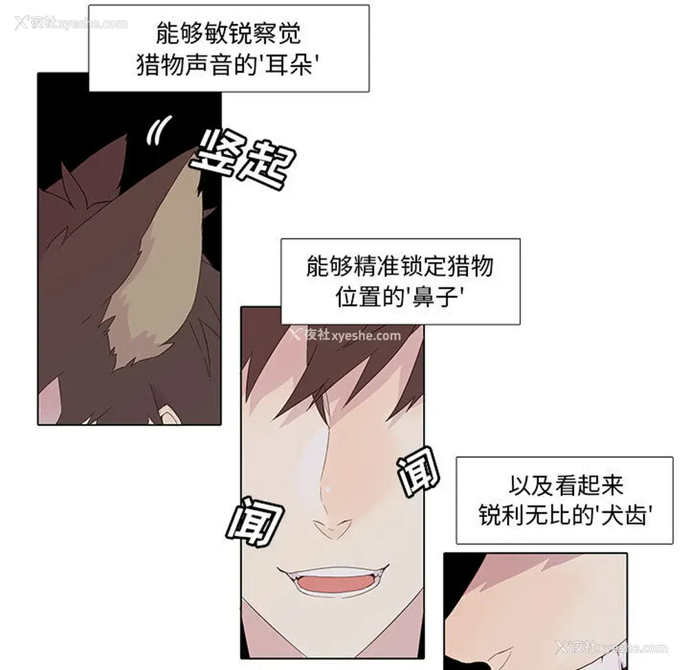 5P - 野性之城
