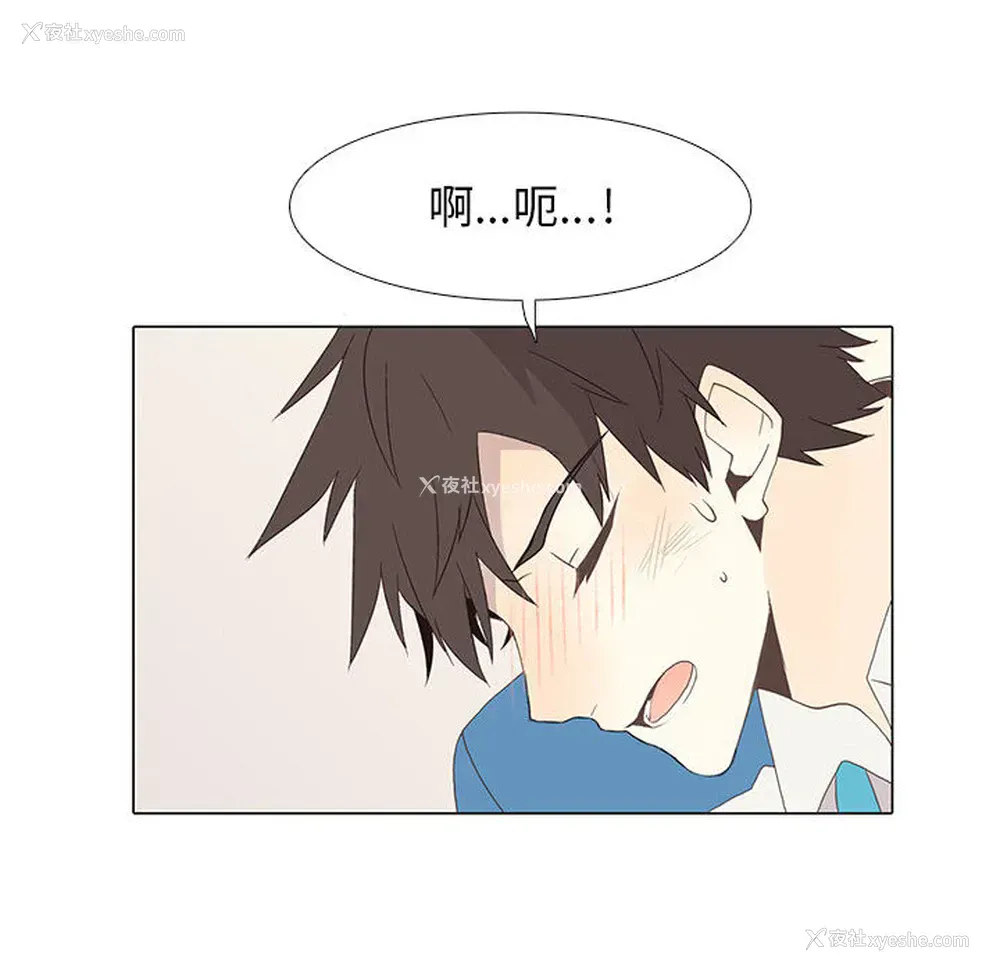 65P - 野性之城