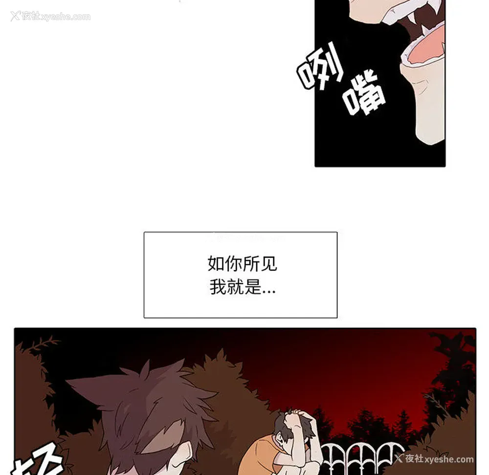 6P - 野性之城