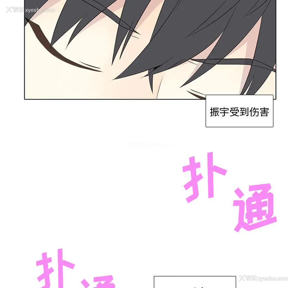 27P - 野性之城