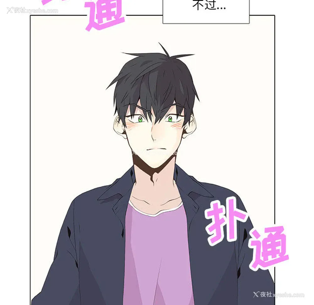 28P - 野性之城