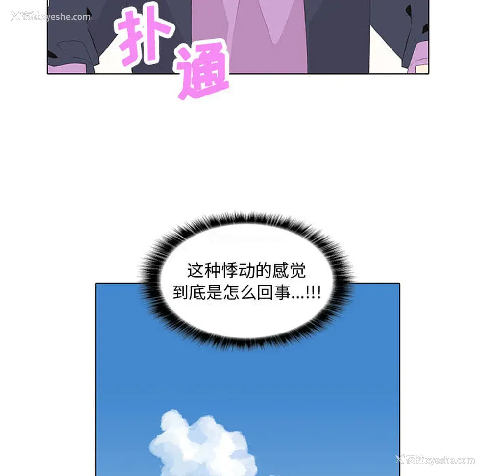 29P - 野性之城