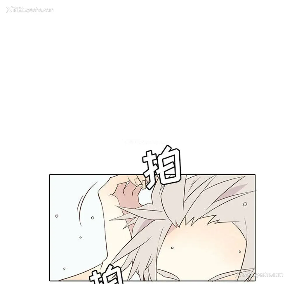 16P - 野性之城