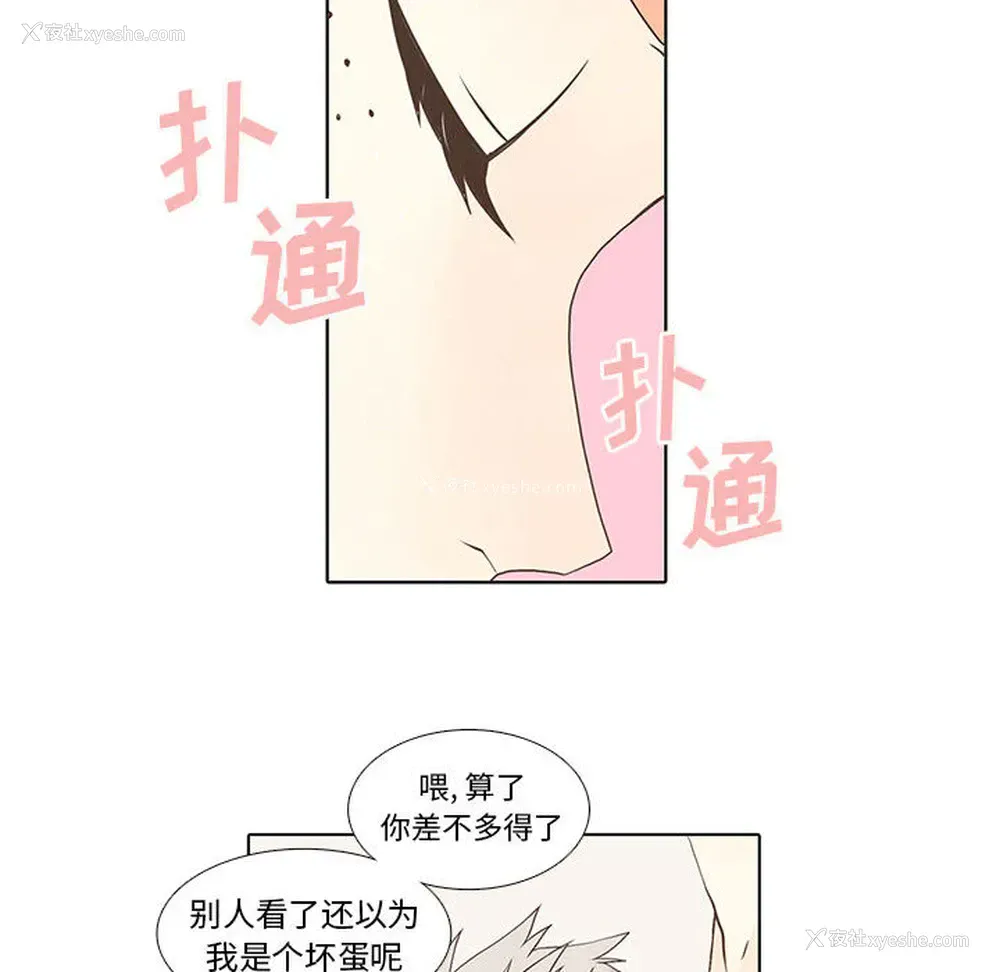 23P - 野性之城