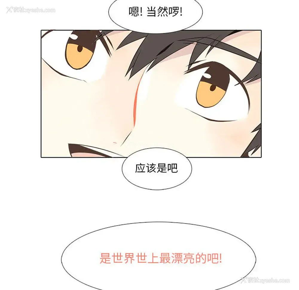 48P - 野性之城