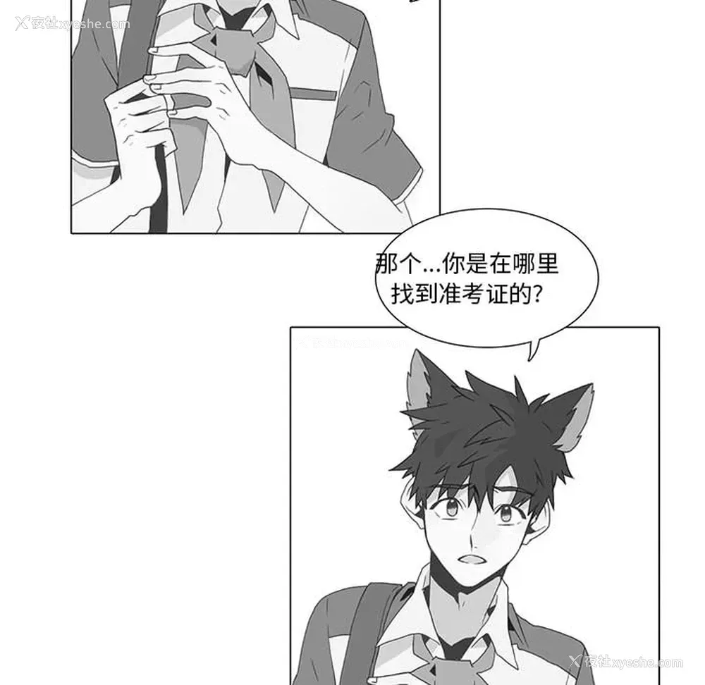 6P - 野性之城