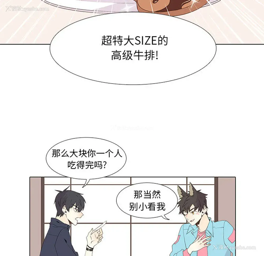 10P - 野性之城