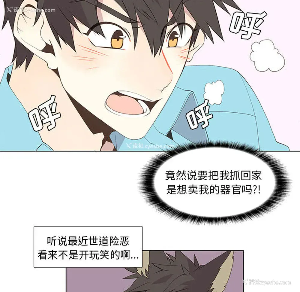 10P - 野性之城