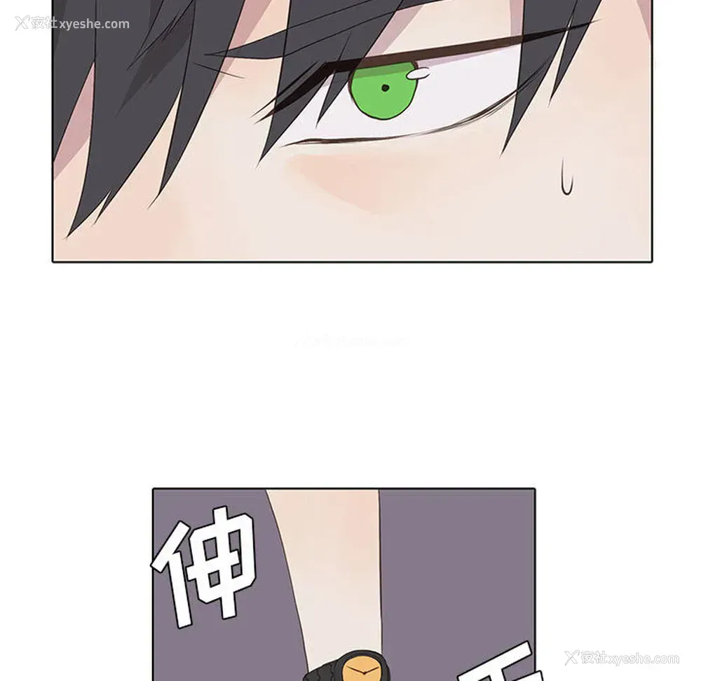 38P - 野性之城