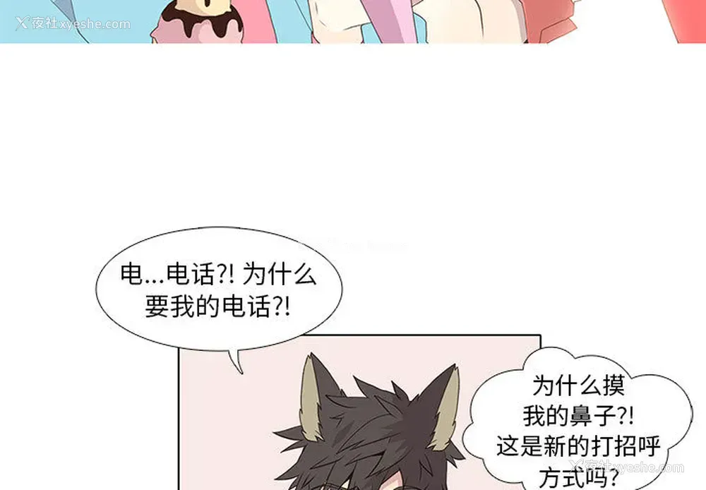 3P - 野性之城