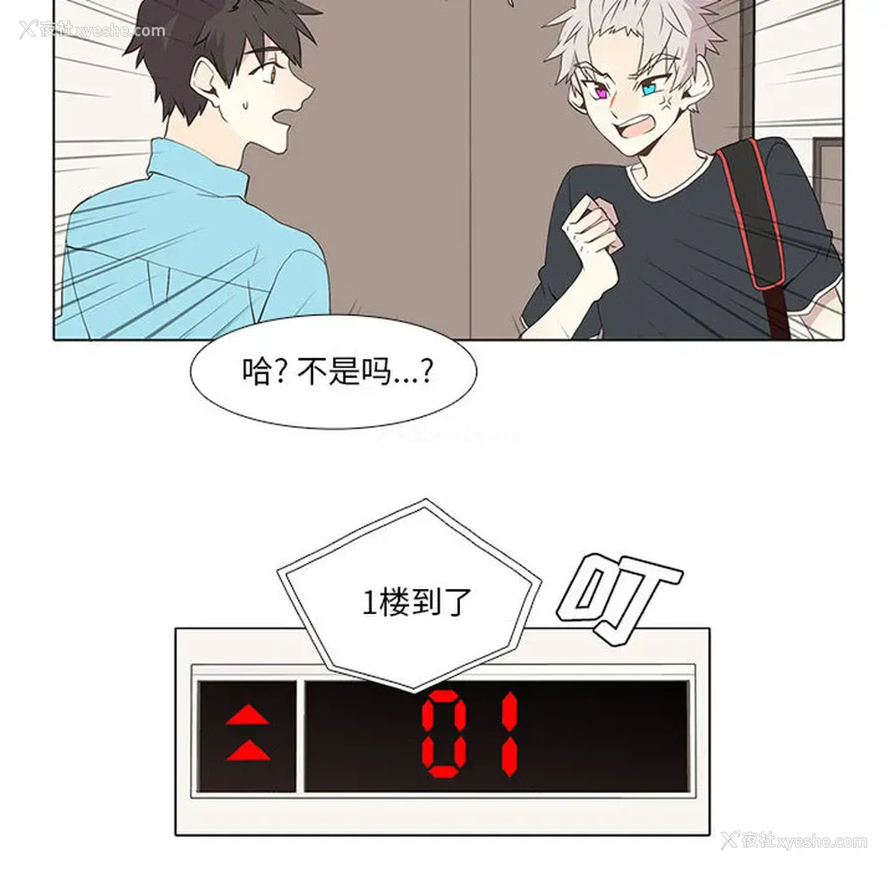 29P - 野性之城
