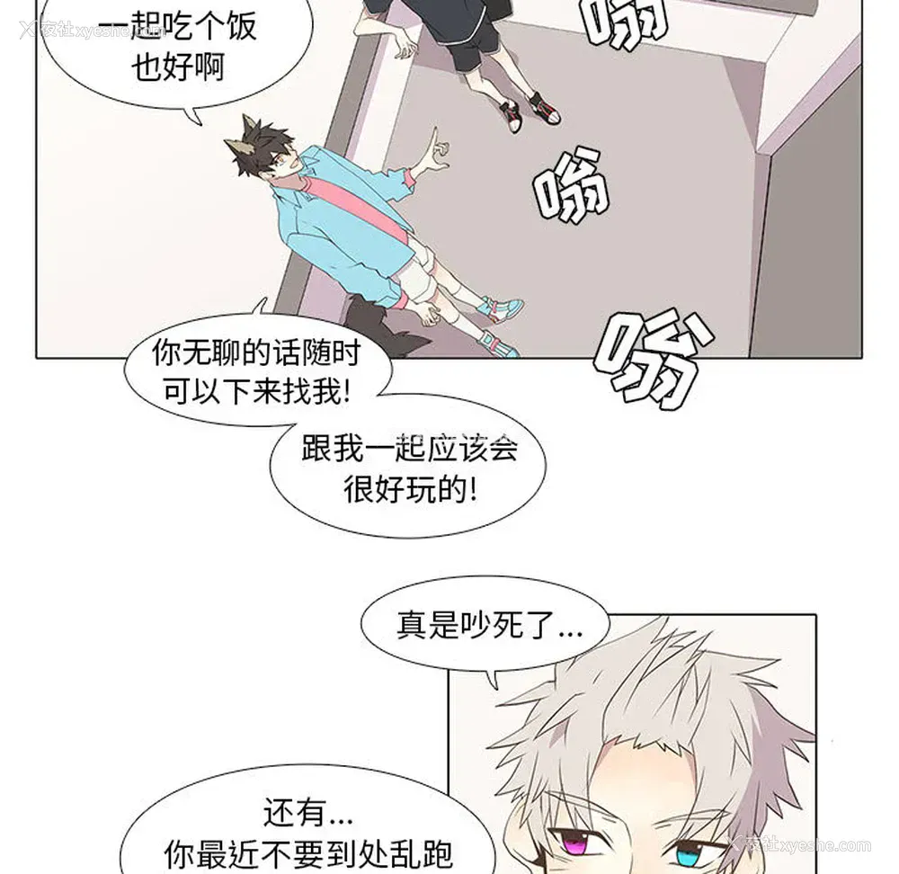 32P - 野性之城