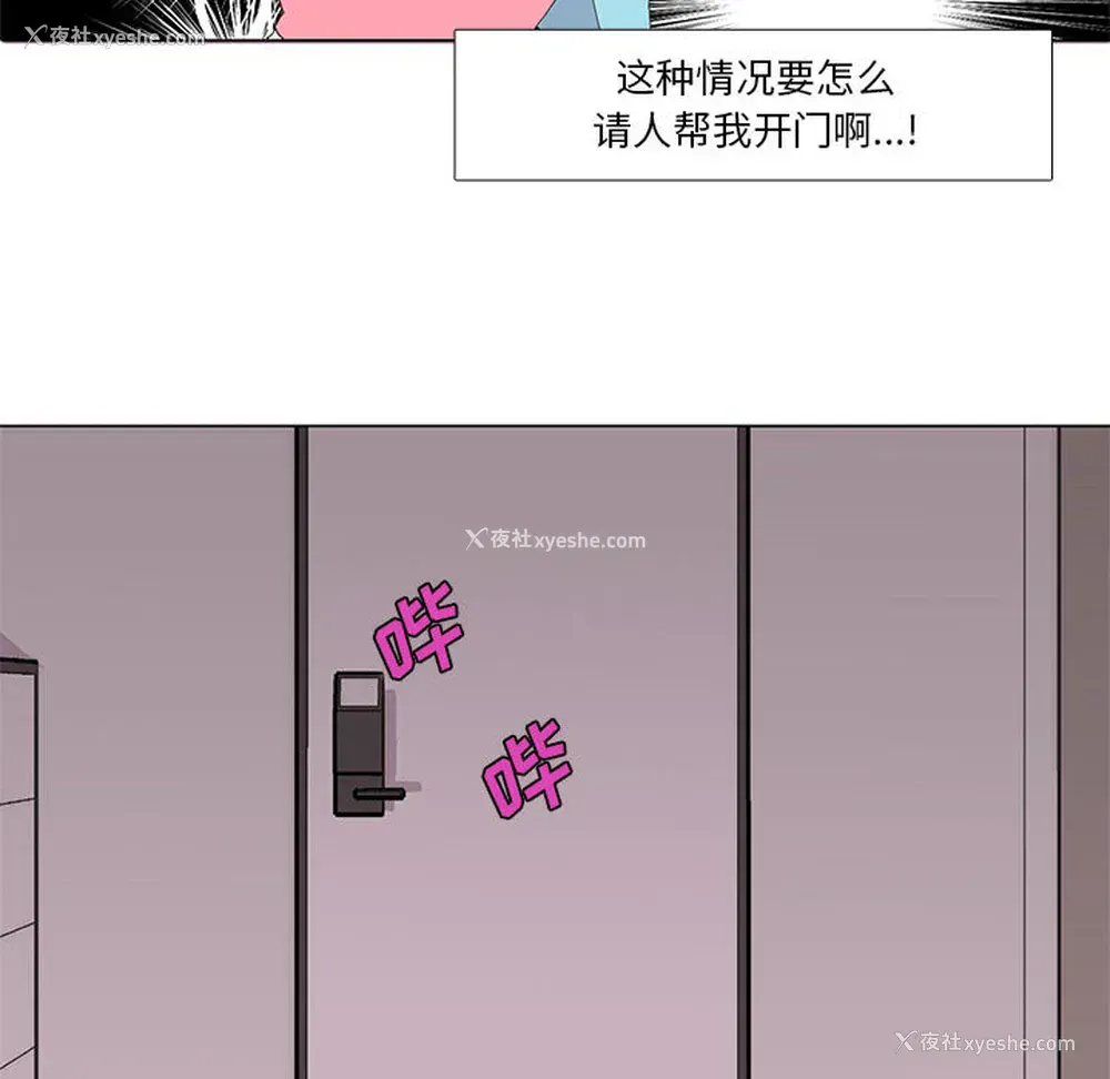 43P - 野性之城
