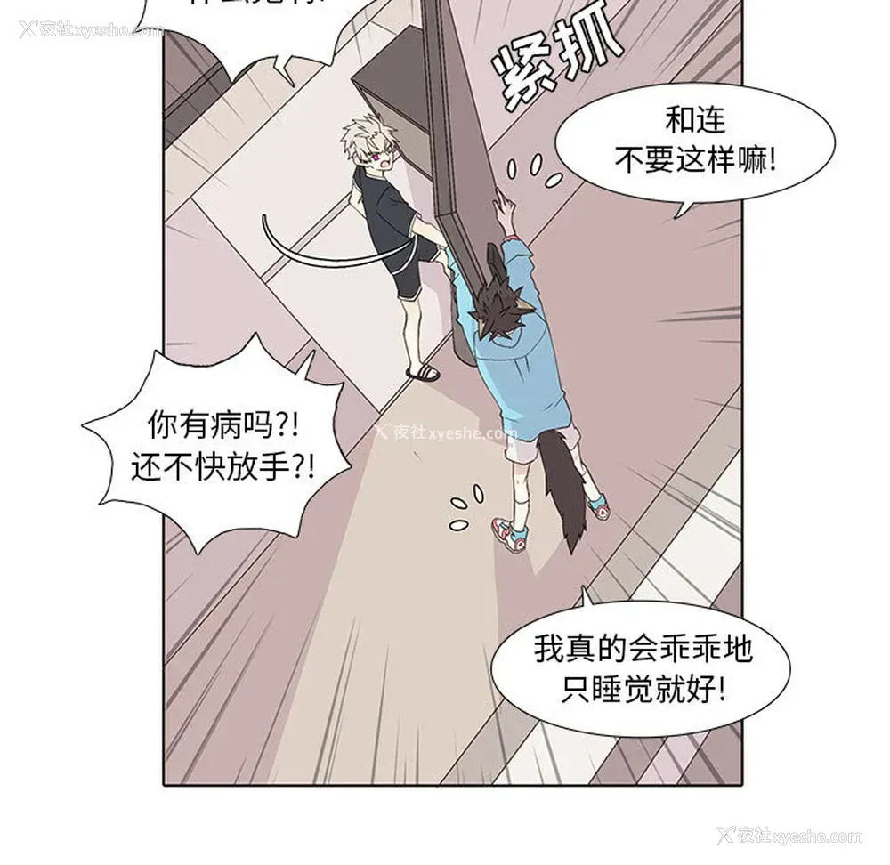 11P - 野性之城