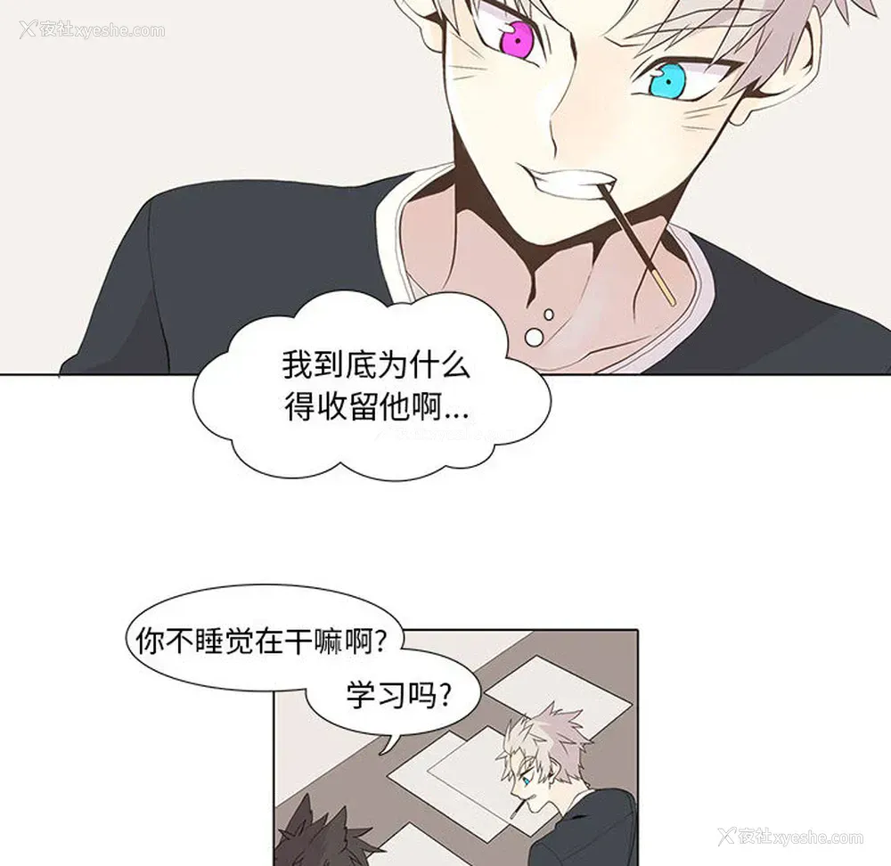 18P - 野性之城