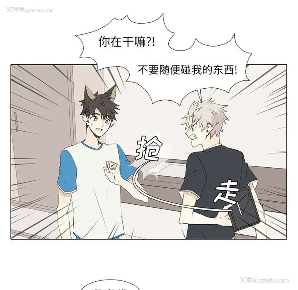 23P - 野性之城