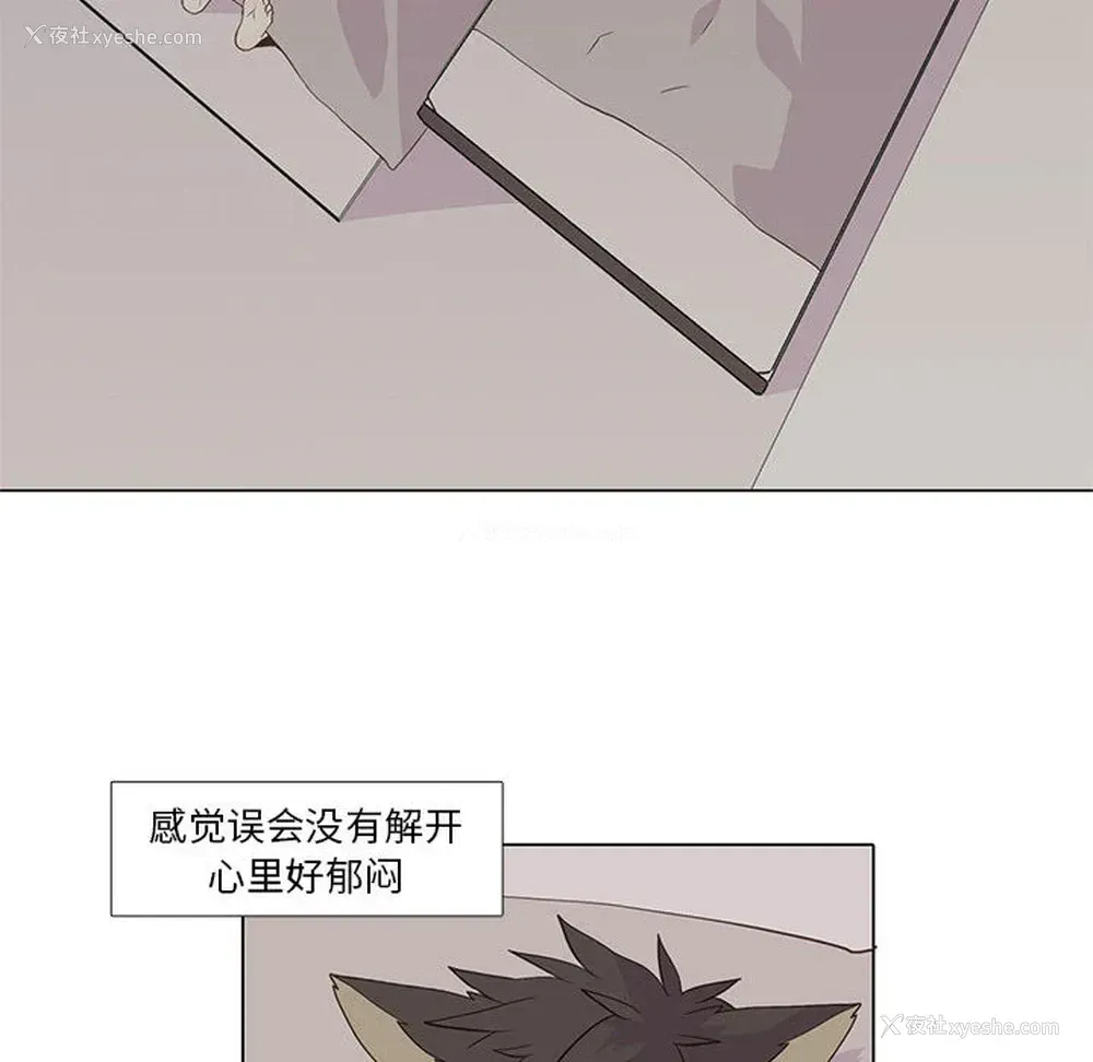 32P - 野性之城