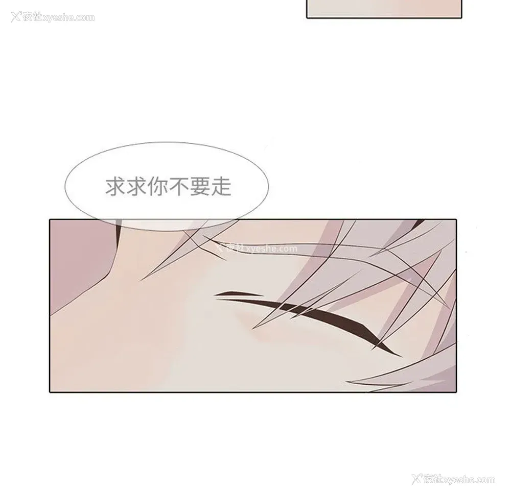 37P - 野性之城