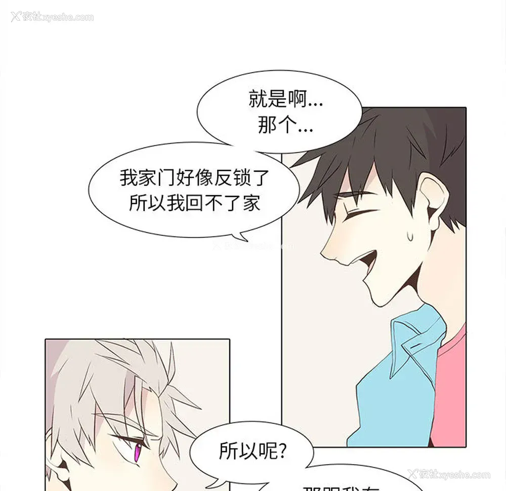8P - 野性之城