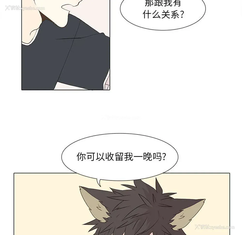 9P - 野性之城