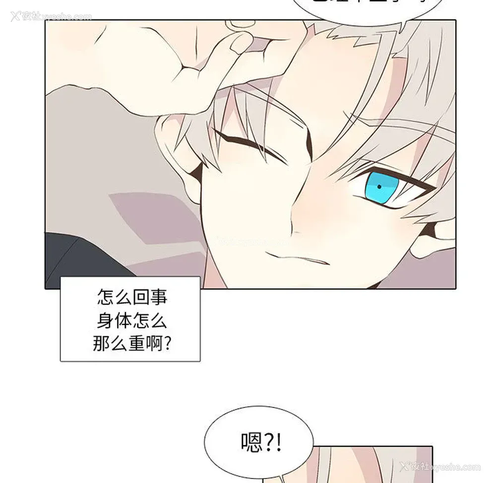 13P - 野性之城