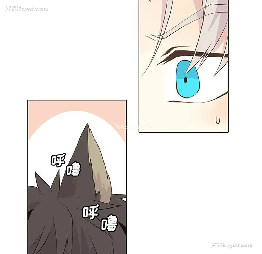 14P - 野性之城