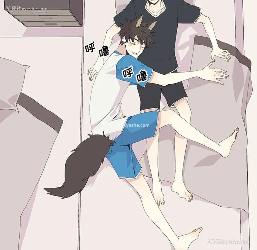 16P - 野性之城